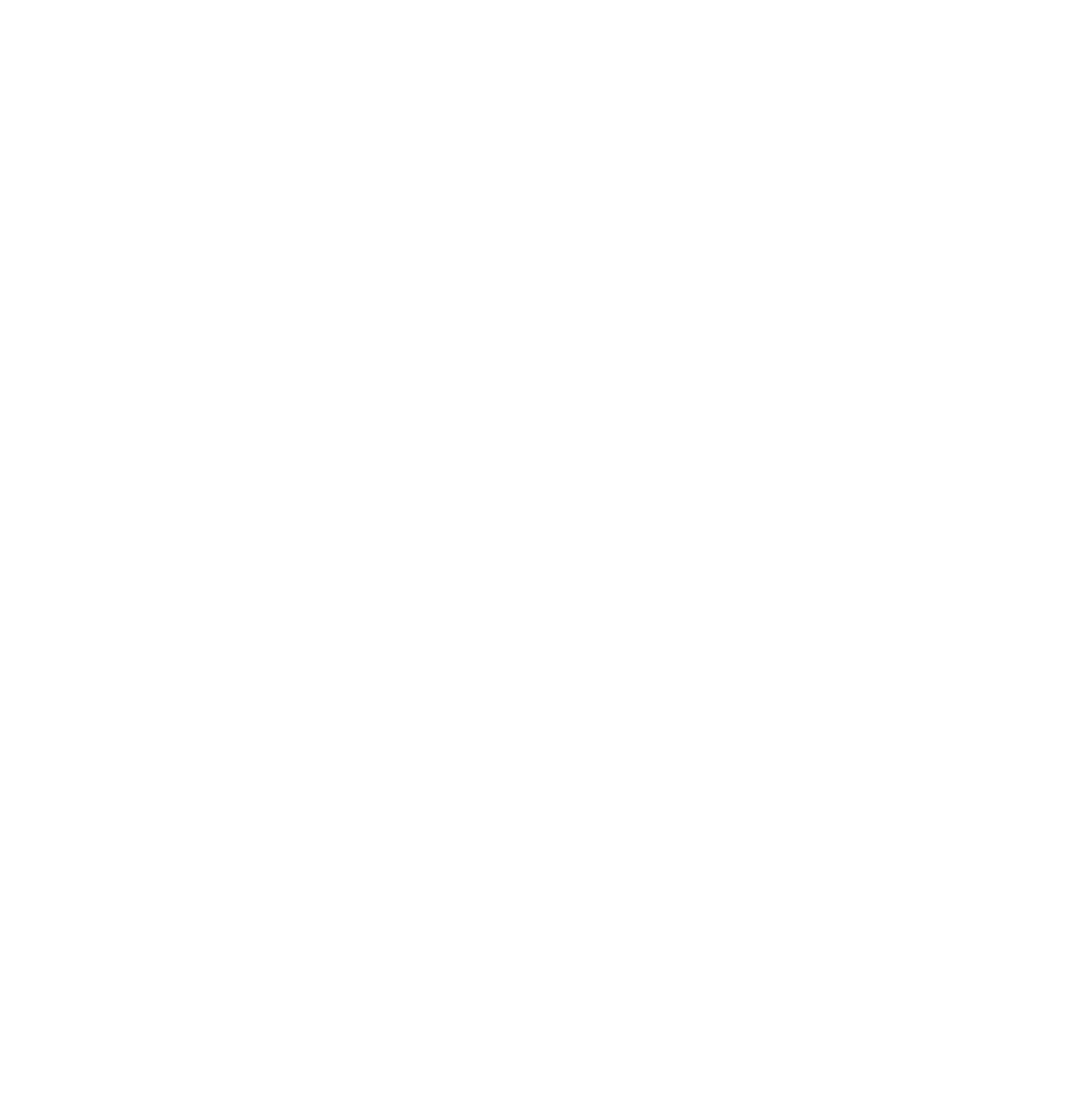Visionaries logo